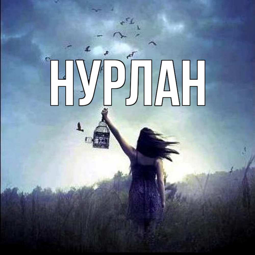 Открытка на каждый день с именем, Нурлан Главная на волю Прикольная открытка с пожеланием онлайн скачать бесплатно 