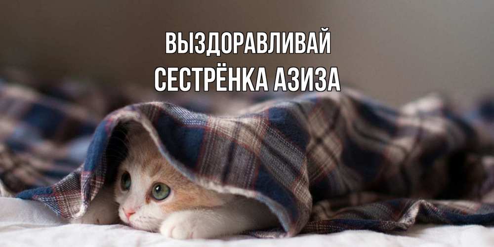 Открытка на каждый день с именем, Сестрёнка-Азиза Выздоравливай не болейте с котиком Прикольная открытка с пожеланием онлайн скачать бесплатно 