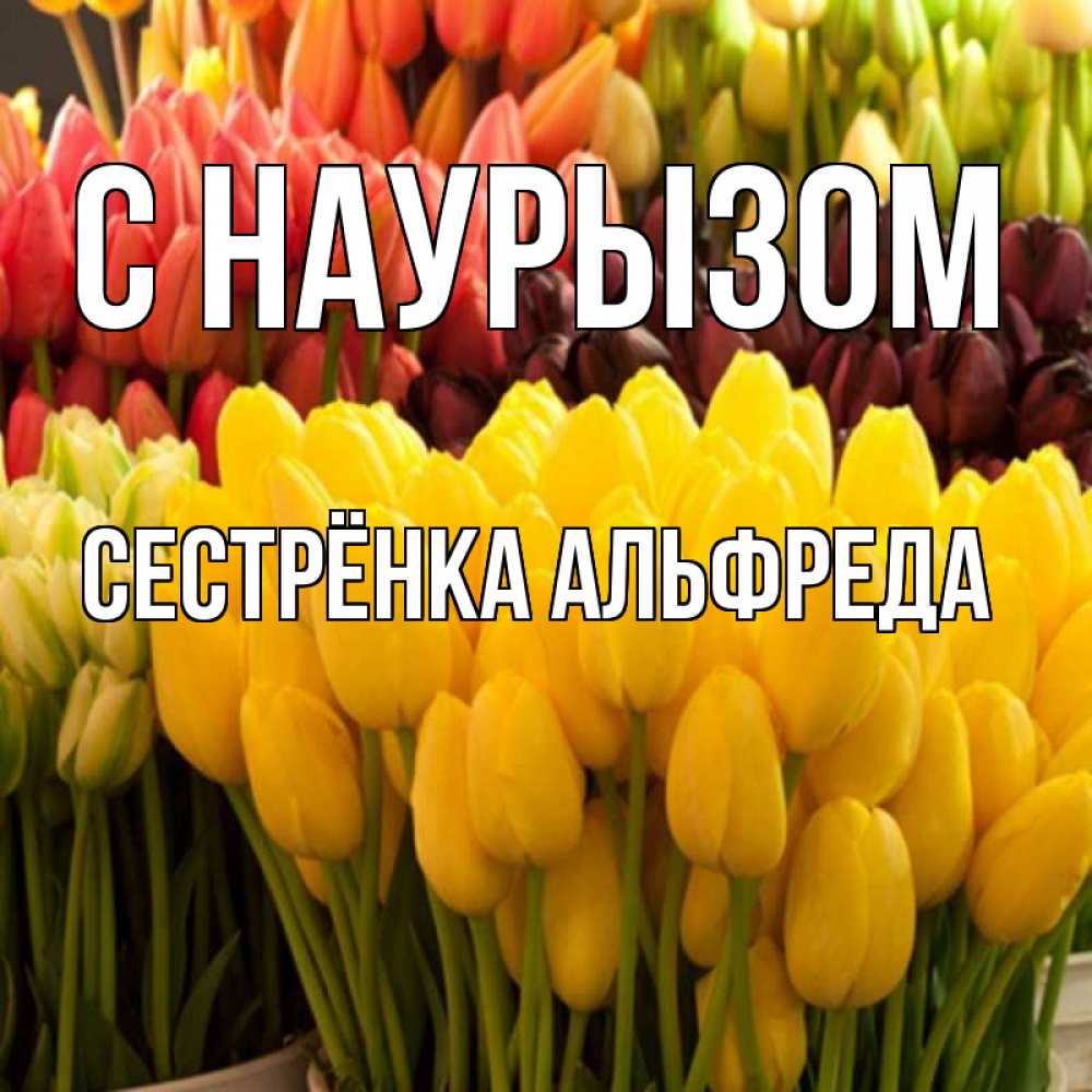 Открытка на каждый день с именем, Сестрёнка-Альфреда С наурызом цветы Прикольная открытка с пожеланием онлайн скачать бесплатно 