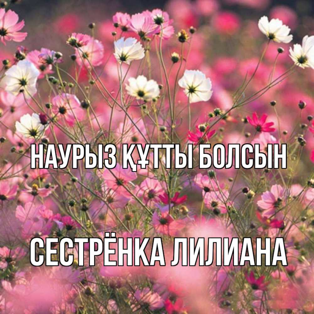 Открытка на каждый день с именем, Сестрёнка-Лилиана Наурыз құтты болсын красиво 1 Прикольная открытка с пожеланием онлайн скачать бесплатно 