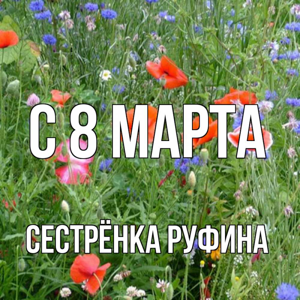Открытка на каждый день с именем, Сестрёнка-Руфина С 8 марта международный женский день 4 Прикольная открытка с пожеланием онлайн скачать бесплатно 