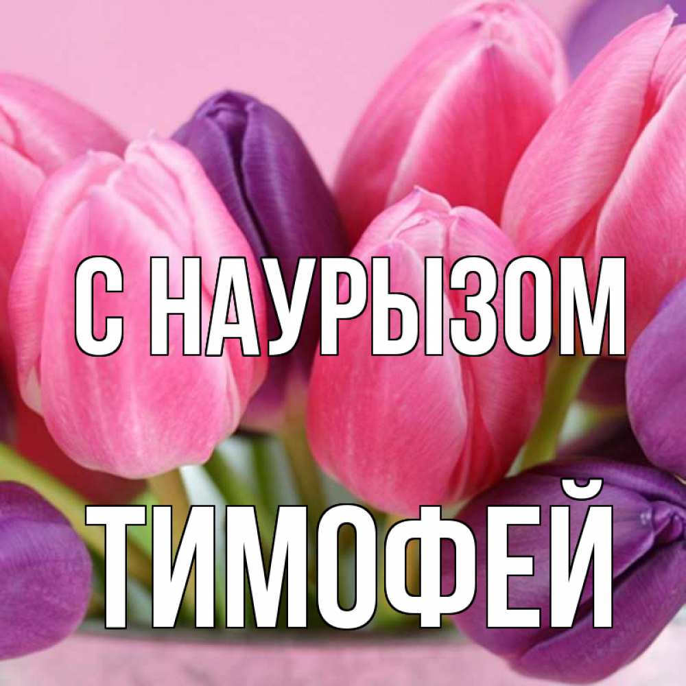 Открытка на каждый день с именем, Тимофей С наурызом маме 1 Прикольная открытка с пожеланием онлайн скачать бесплатно 