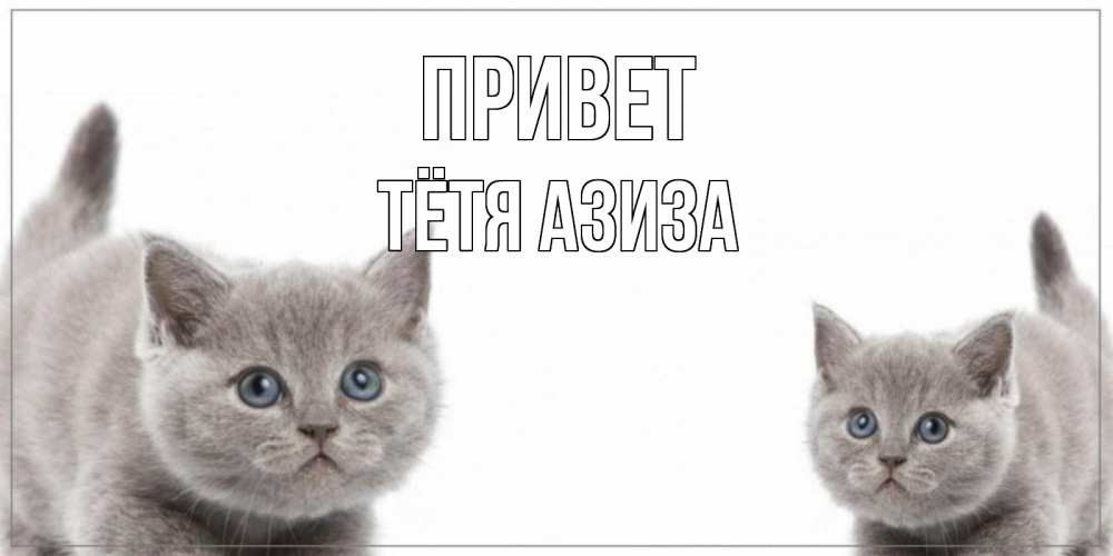 Открытка на каждый день с именем, Тётя-Азиза Привет коты Прикольная открытка с пожеланием онлайн скачать бесплатно 