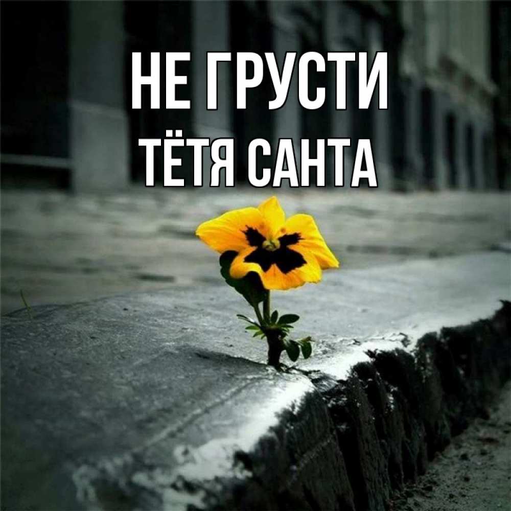 Открытка на каждый день с именем, Тётя-Санта Не грусти не сдавайся Прикольная открытка с пожеланием онлайн скачать бесплатно 