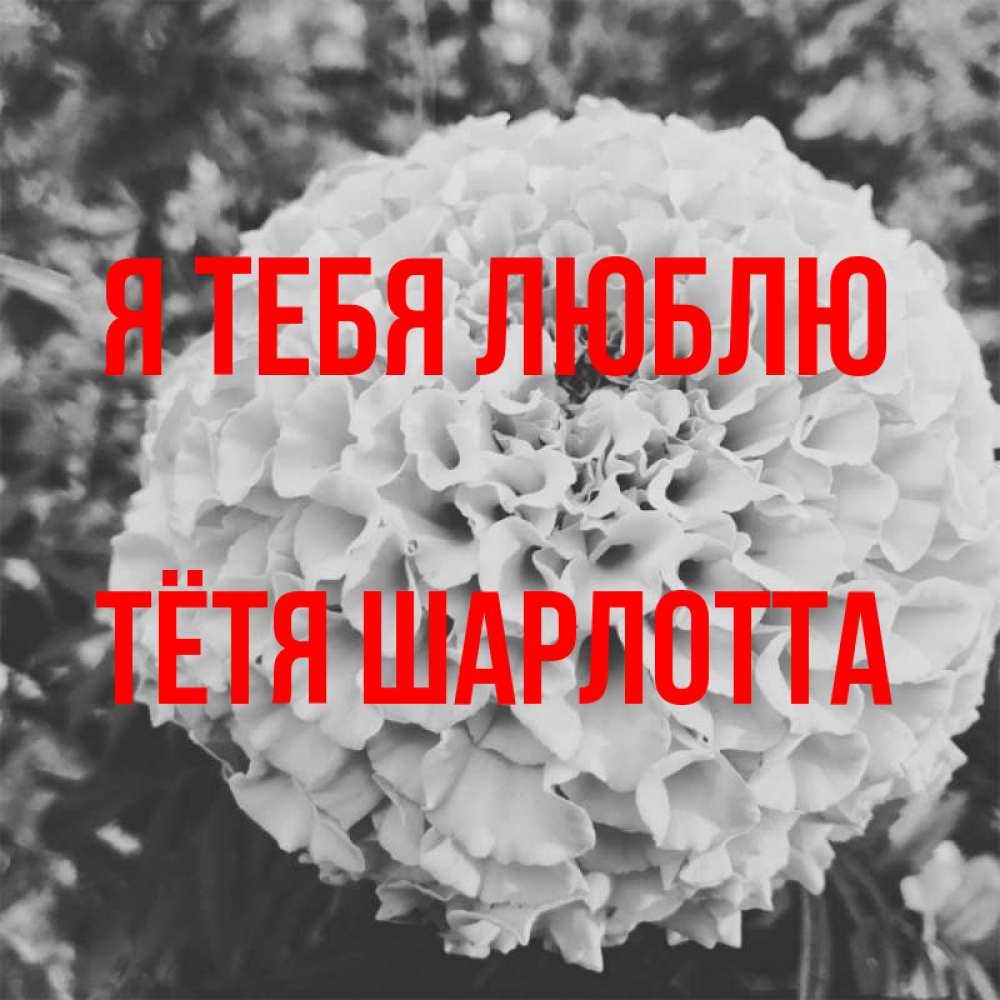 Открытка на каждый день с именем, Тётя-Шарлотта Я тебя люблю подпись Прикольная открытка с пожеланием онлайн скачать бесплатно 