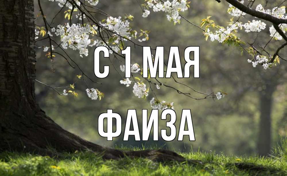 Открытка на каждый день с именем, Фаиза С 1 мая С 1 мая Прикольная открытка с пожеланием онлайн скачать бесплатно 