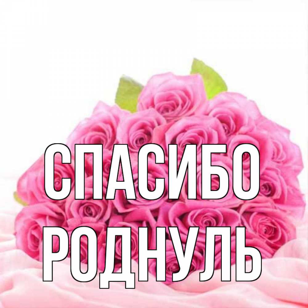 Картинка роднули мои