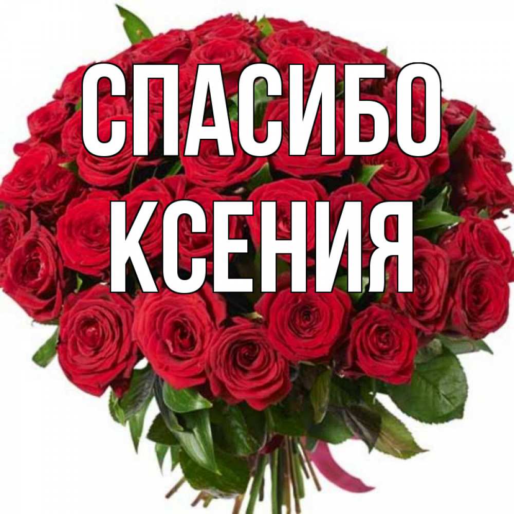 Картинки для ксюши