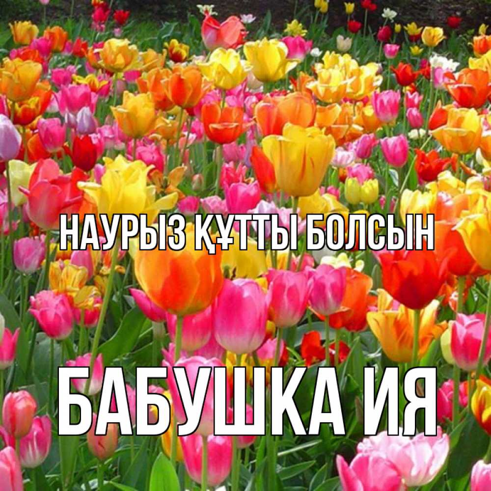 Открытка на каждый день с именем, Бабушка-Ия Наурыз құтты болсын на наурыз  ура ура Прикольная открытка с пожеланием онлайн скачать бесплатно 