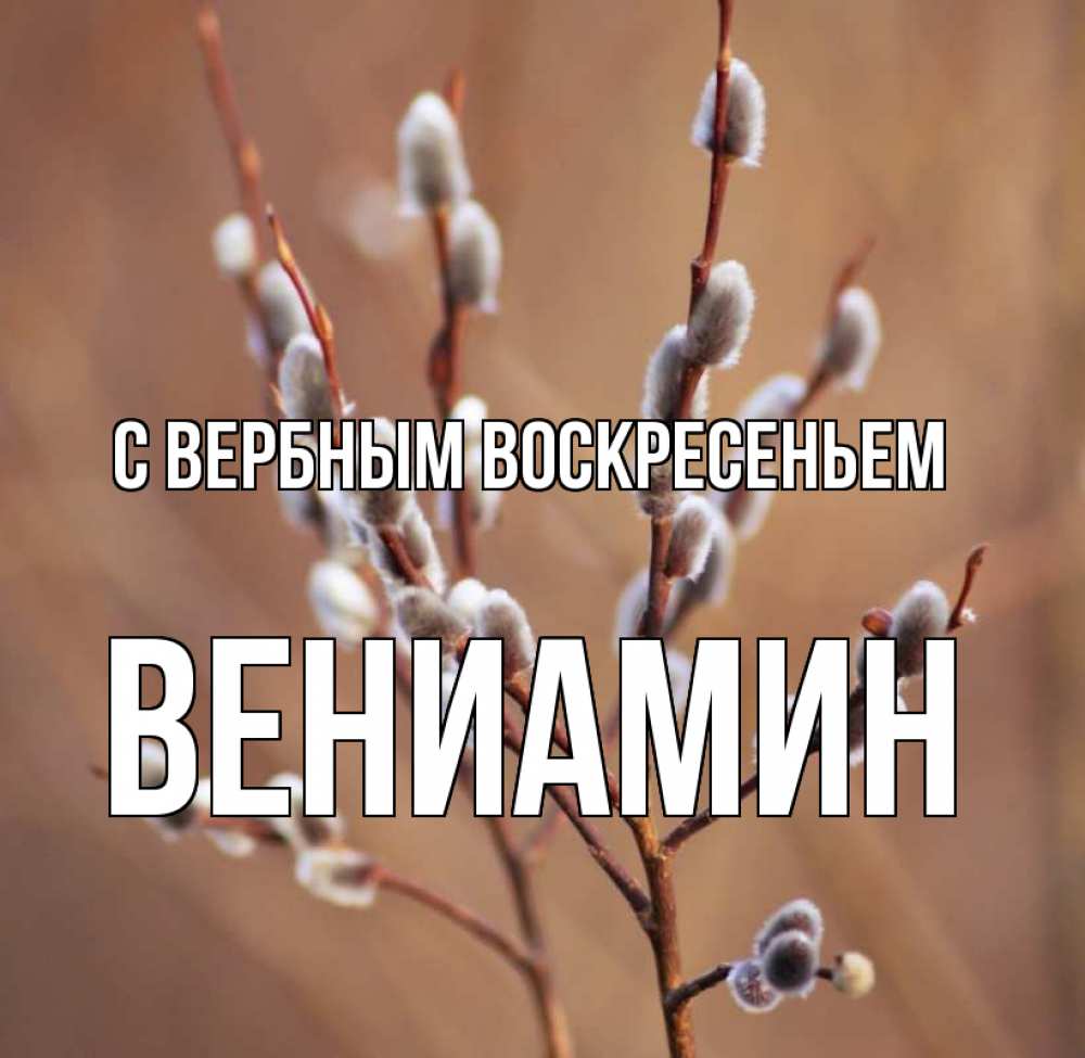 Открытка на каждый день с именем, Вениамин С вербным воскресеньем верба Прикольная открытка с пожеланием онлайн скачать бесплатно 