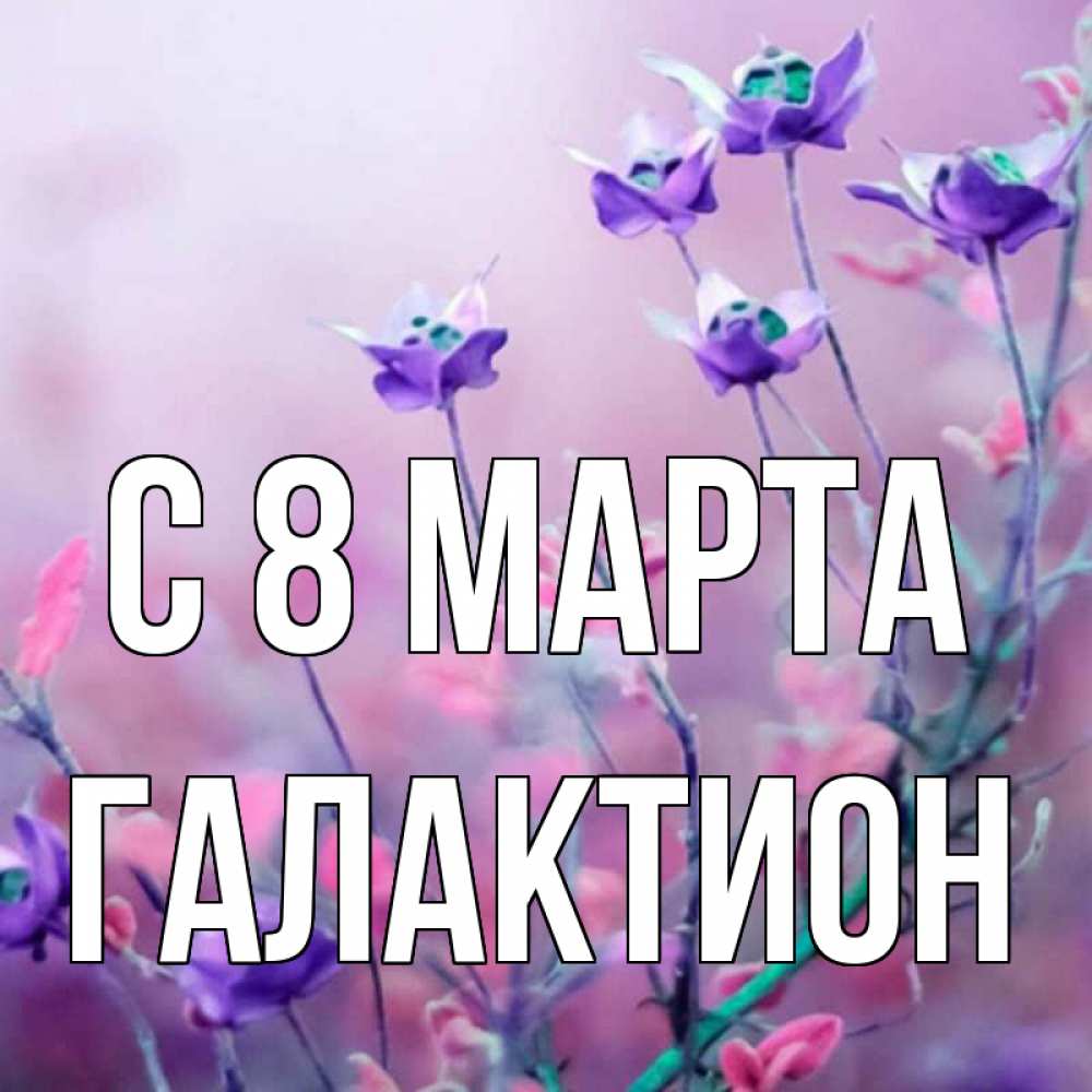 Открытка на каждый день с именем, Галактион С 8 МАРТА международный женский день 2 Прикольная открытка с пожеланием онлайн скачать бесплатно 