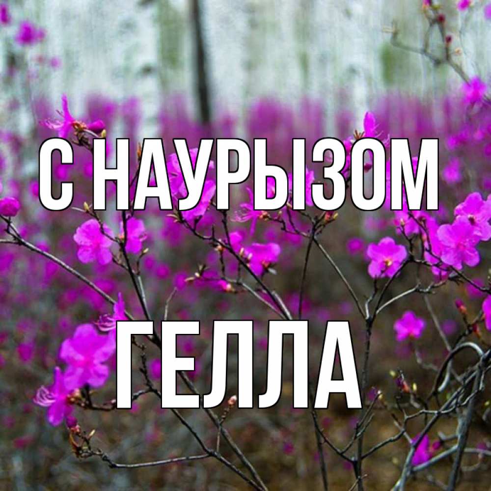 Открытка на каждый день с именем, Гелла С наурызом дикие цветы Прикольная открытка с пожеланием онлайн скачать бесплатно 