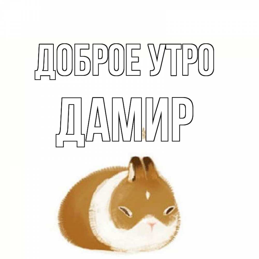 Открытка на каждый день с именем, Дамир Доброе утро хорошего утречка Прикольная открытка с пожеланием онлайн скачать бесплатно 