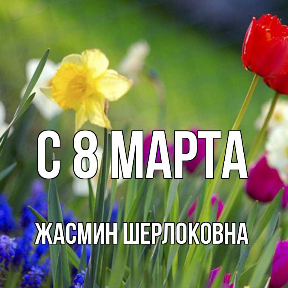 Открытка на каждый день с именем, Жасмин-Шерлоковна С 8 марта международный женский день 3 Прикольная открытка с пожеланием онлайн скачать бесплатно 
