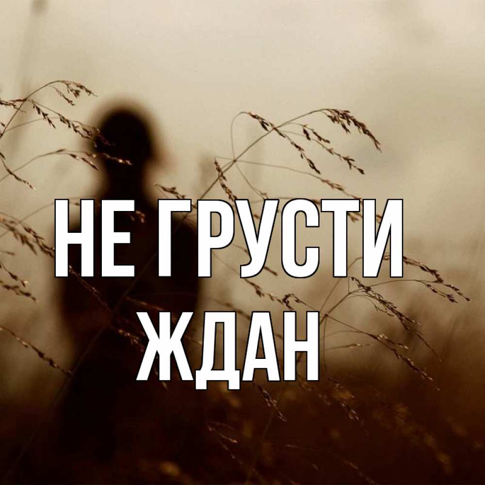 Открытка на каждый день с именем, Ждан Не грусти грусть Прикольная открытка с пожеланием онлайн скачать бесплатно 