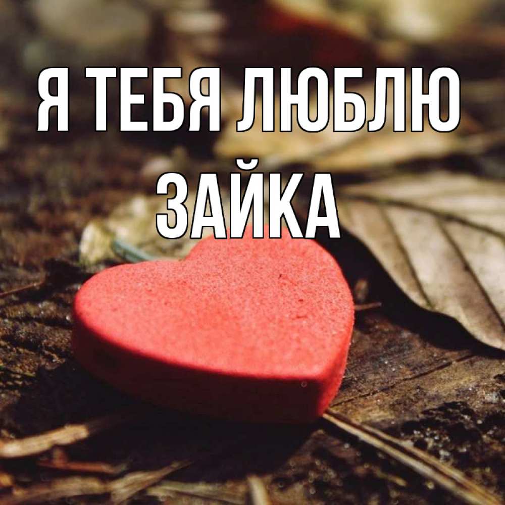 Открытка на каждый день с именем, Зайка Я тебя люблю листья деревье 4 Прикольная открытка с пожеланием онлайн скачать бесплатно 