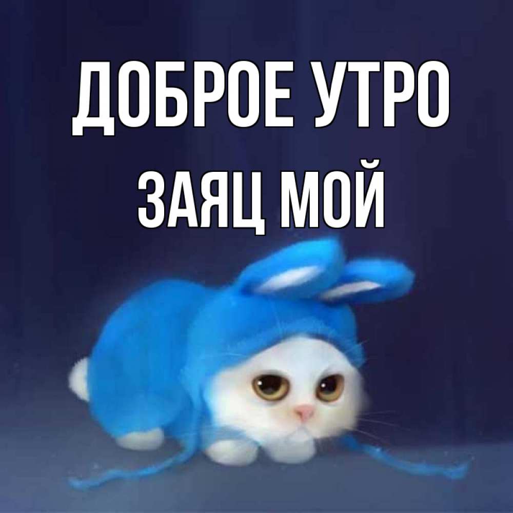 Открытка на каждый день с именем, Заяц-мой Доброе утро открытки красивые скачать бесплатно Прикольная открытка с пожеланием онлайн скачать бесплатно 