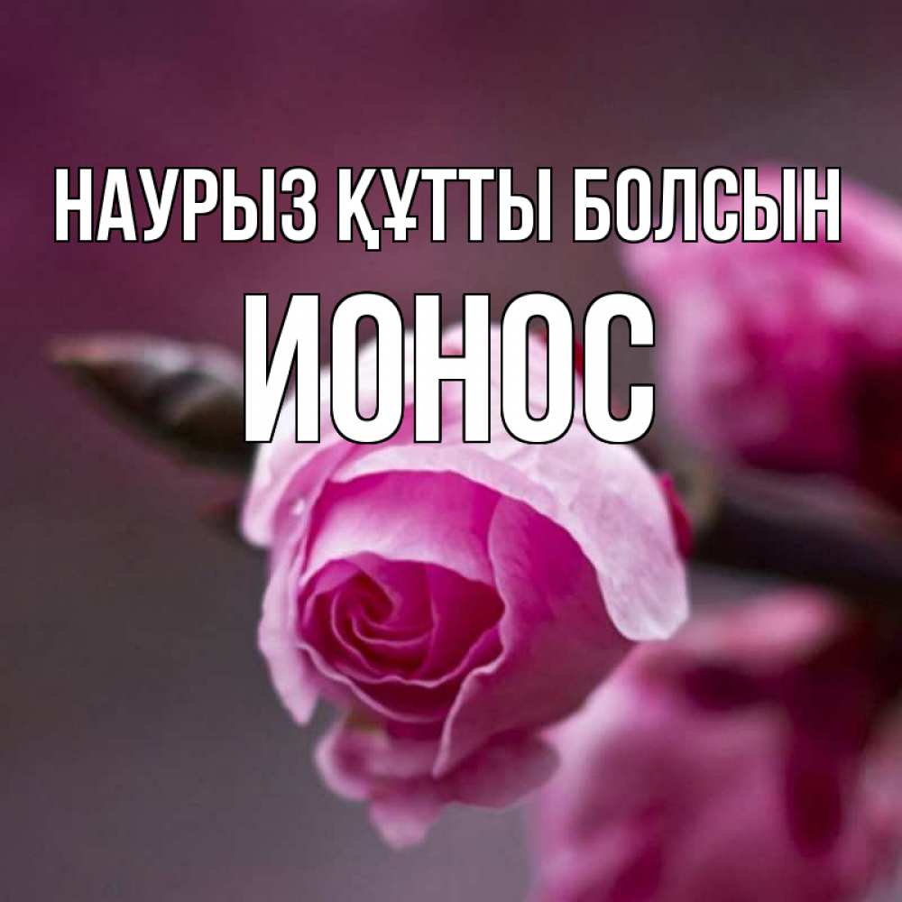 Открытка на каждый день с именем, Ионос Наурыз құтты болсын весна Прикольная открытка с пожеланием онлайн скачать бесплатно 