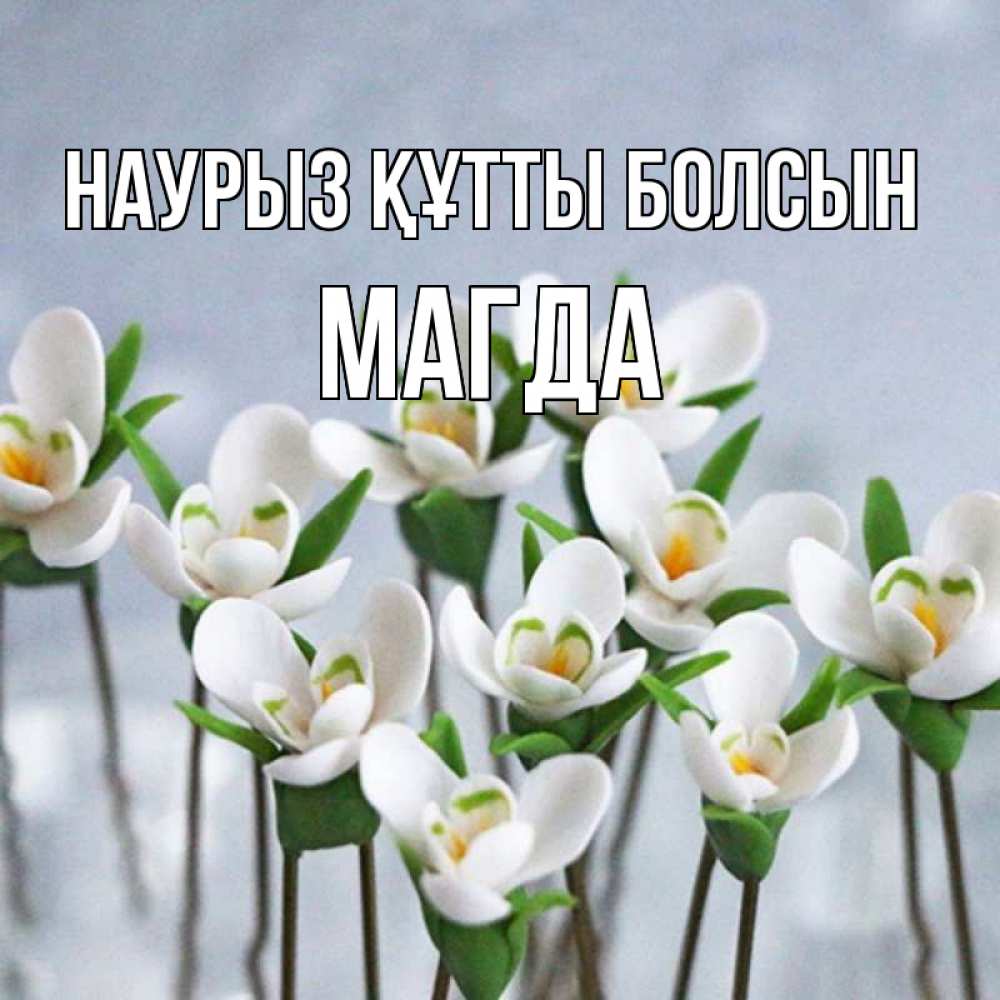 Открытка на каждый день с именем, Магда Наурыз құтты болсын весенние цветы Прикольная открытка с пожеланием онлайн скачать бесплатно 