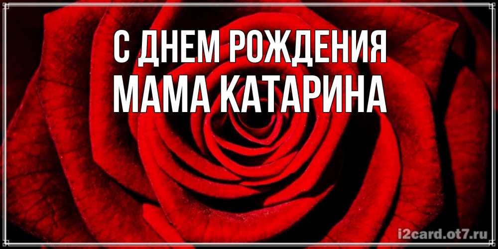 Открытка на каждый день с именем, Мама-Катарина С днем рождения алая роза Прикольная открытка с пожеланием онлайн скачать бесплатно 