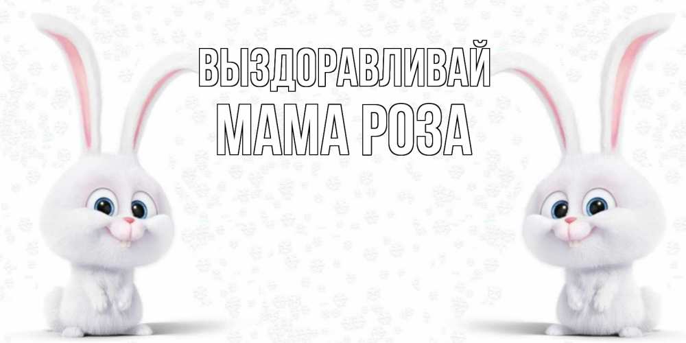 Открытка на каждый день с именем, Мама-Роза Выздоравливай не болей с зайцем Прикольная открытка с пожеланием онлайн скачать бесплатно 
