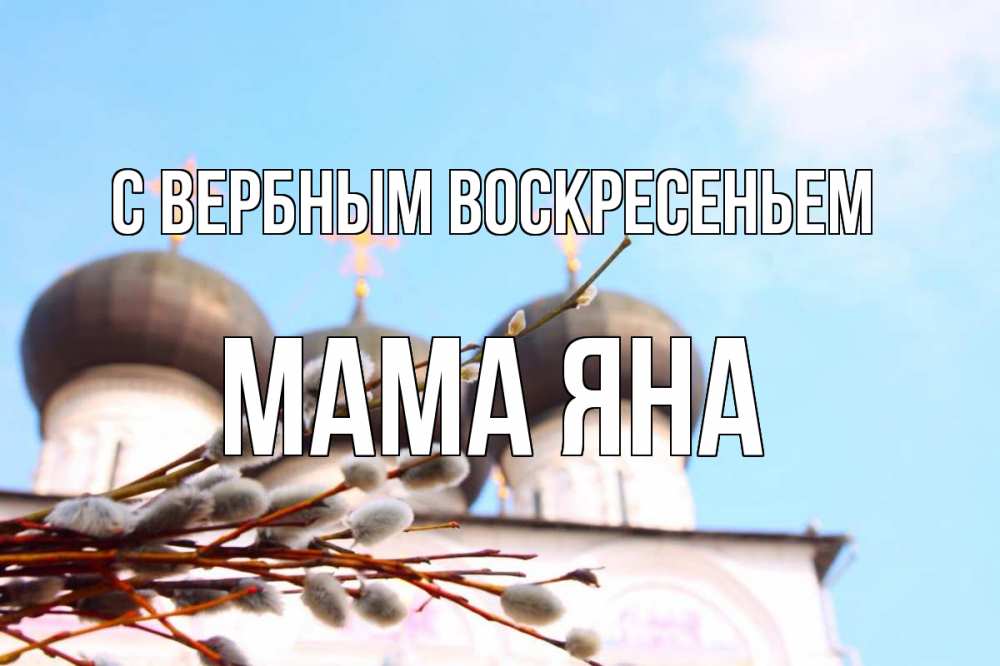 Открытка на каждый день с именем, Мама-Яна С вербным воскресеньем верба Прикольная открытка с пожеланием онлайн скачать бесплатно 