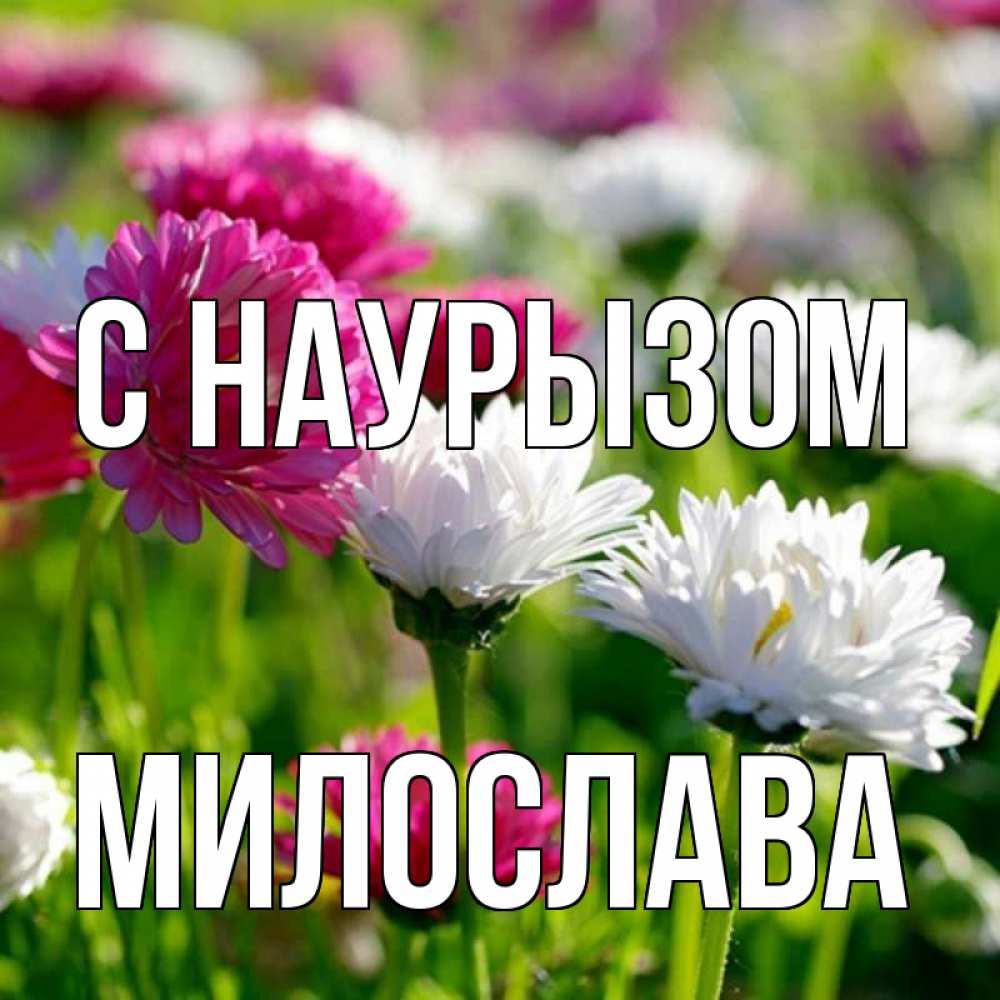 Открытка на каждый день с именем, Милослава С наурызом праздник весны наурыз красота Прикольная открытка с пожеланием онлайн скачать бесплатно 