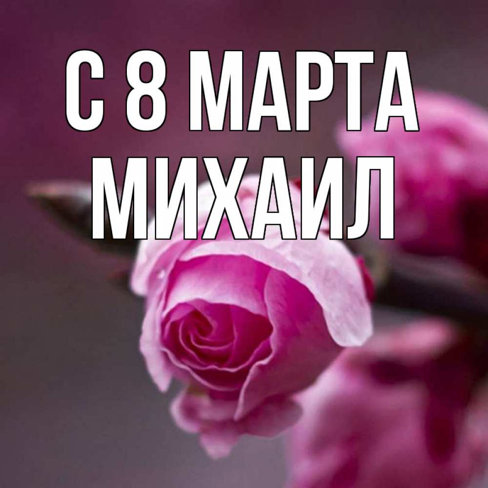 Открытка на каждый день с именем, Михаил С 8 МАРТА весна Прикольная открытка с пожеланием онлайн скачать бесплатно 