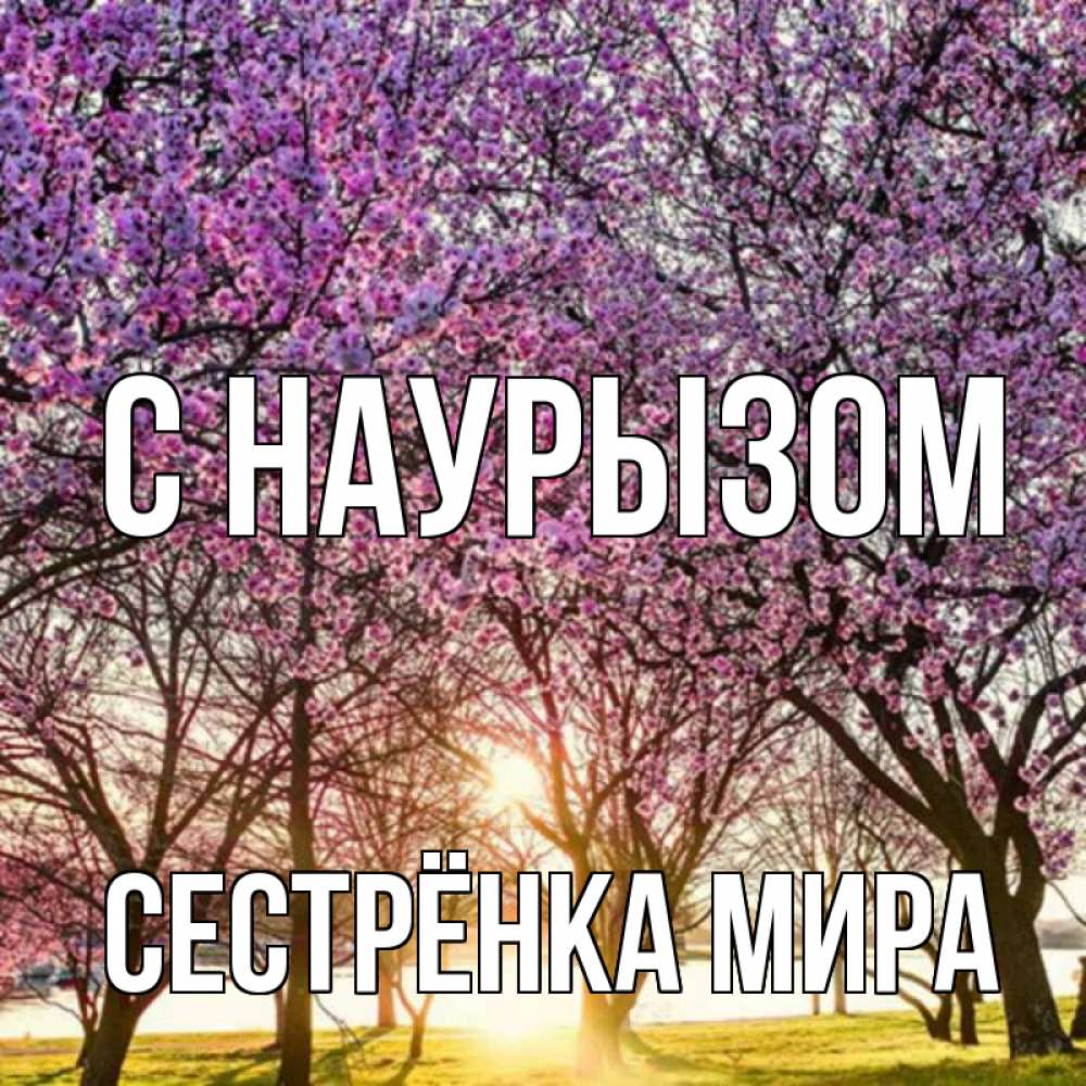 Открытка на каждый день с именем, Сестрёнка-Мира С наурызом праздник весны наурыз Прикольная открытка с пожеланием онлайн скачать бесплатно 