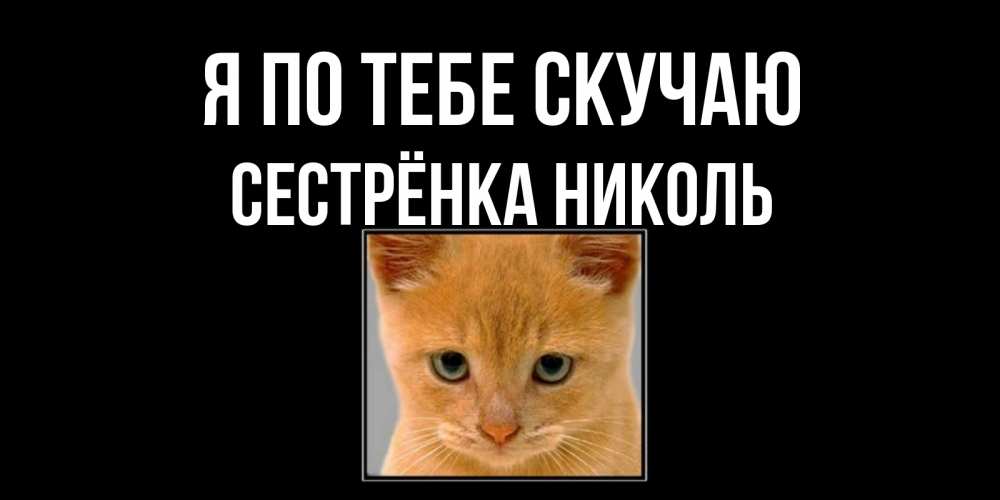 Открытка на каждый день с именем, Сестрёнка-Николь Я по тебе скучаю открытки рыжий котенок скучает по тебе Прикольная открытка с пожеланием онлайн скачать бесплатно 
