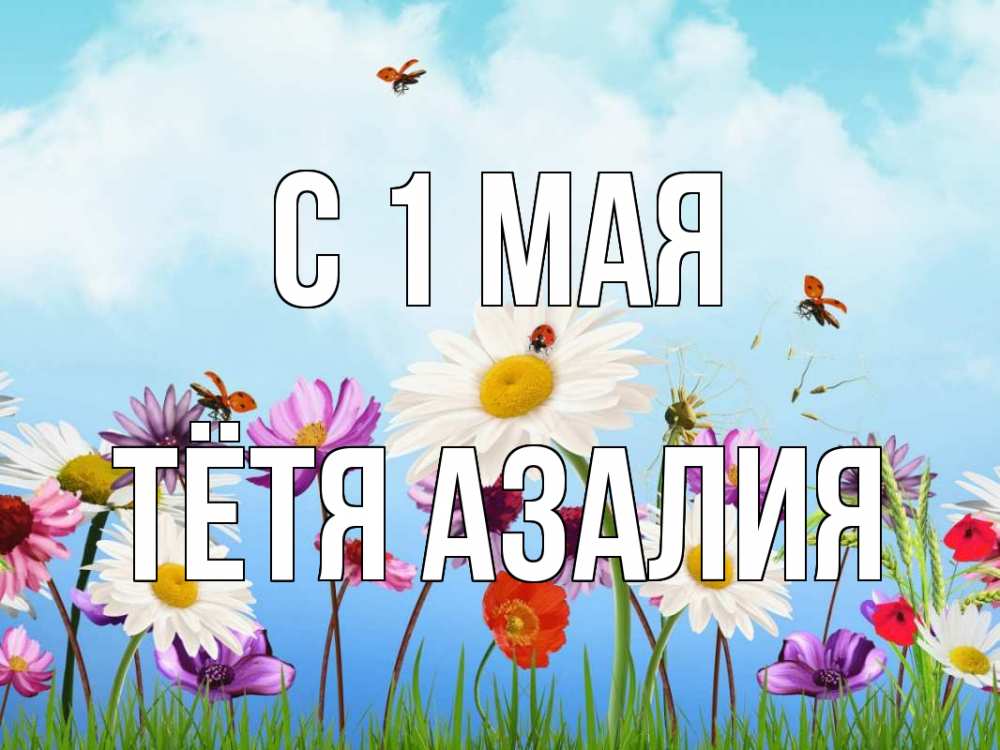 Открытка на каждый день с именем, Тётя-Азалия С 1 мая С 1 мая Прикольная открытка с пожеланием онлайн скачать бесплатно 