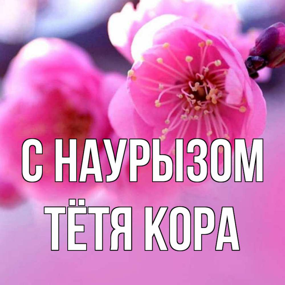 Открытка на каждый день с именем, Тётя-Кора С наурызом международный женский день Прикольная открытка с пожеланием онлайн скачать бесплатно 
