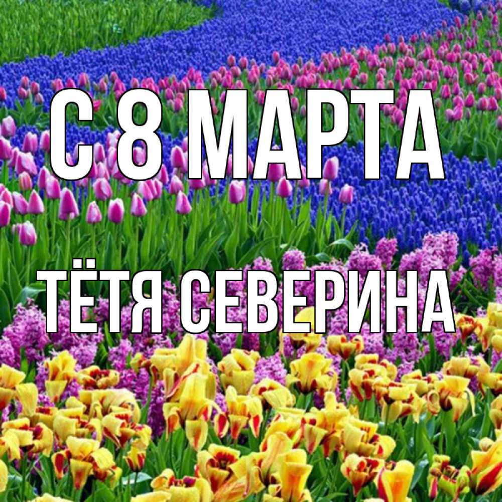 Открытка на каждый день с именем, Тётя-Северина С 8 МАРТА цветы Прикольная открытка с пожеланием онлайн скачать бесплатно 