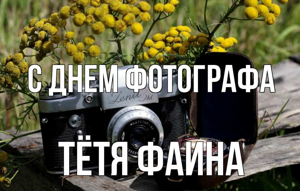 Открытка на каждый день с именем, Тётя-Фаина С днем фотографа с днем фотографа Прикольная открытка с пожеланием онлайн скачать бесплатно 