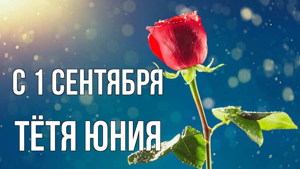 Открытка на каждый день с именем, Тётя-Юния С 1 сентября с днем знаний Прикольная открытка с пожеланием онлайн скачать бесплатно 