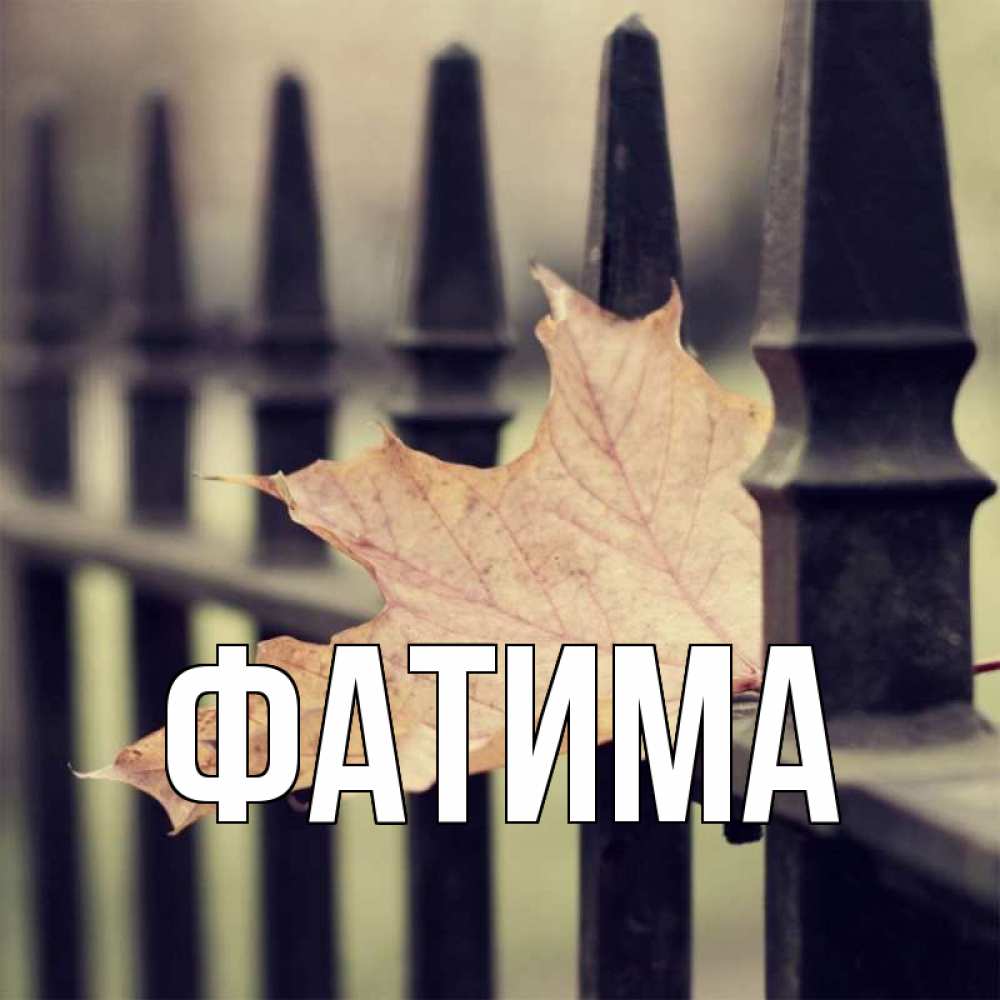 Открытка на каждый день с именем, Фатима Главная лист клена Прикольная открытка с пожеланием онлайн скачать бесплатно 