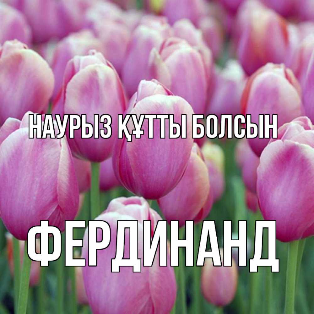 Открытка на каждый день с именем, Фердинанд Наурыз құтты болсын на наурыз  день 3 Прикольная открытка с пожеланием онлайн скачать бесплатно 