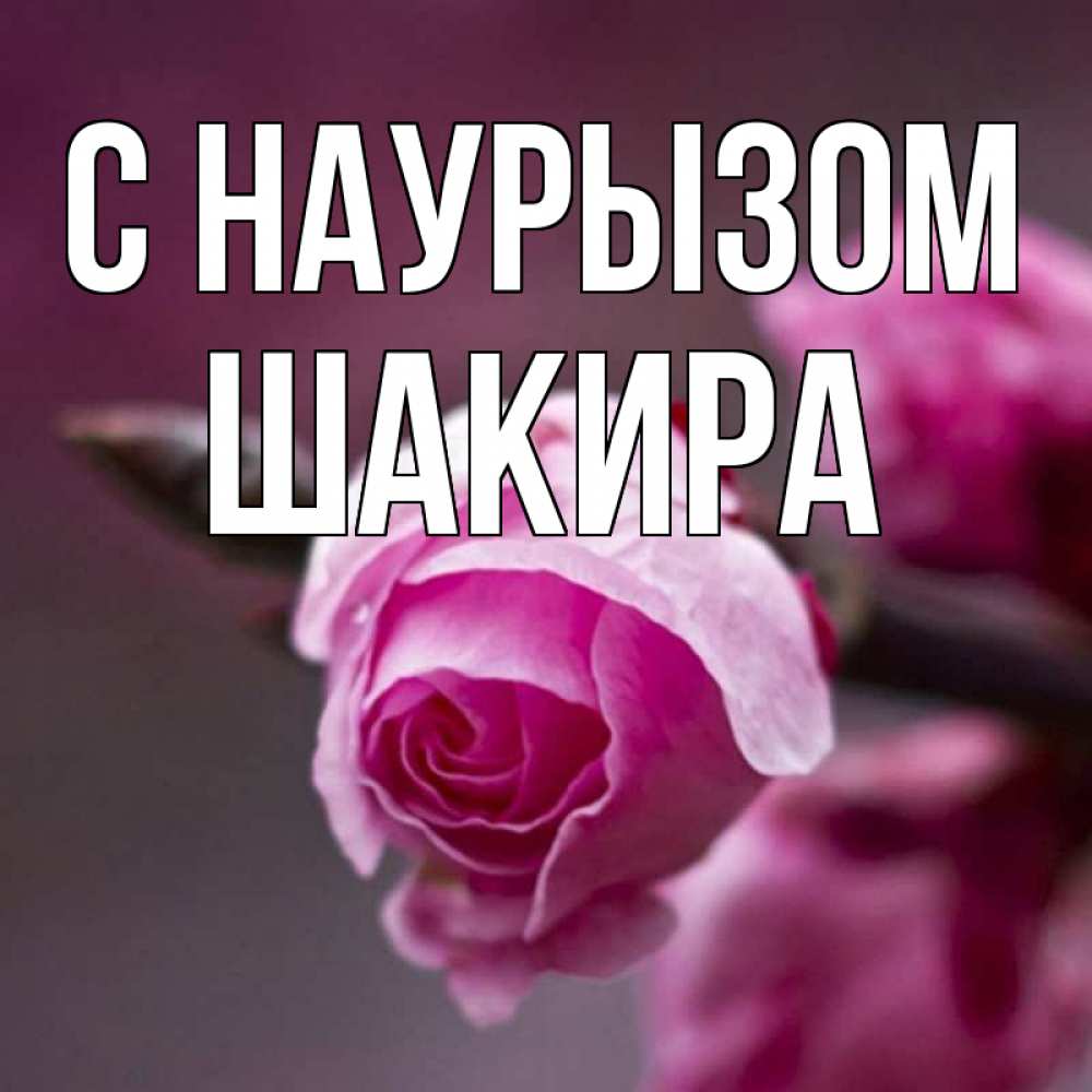 Открытка на каждый день с именем, Шакира С наурызом весна Прикольная открытка с пожеланием онлайн скачать бесплатно 