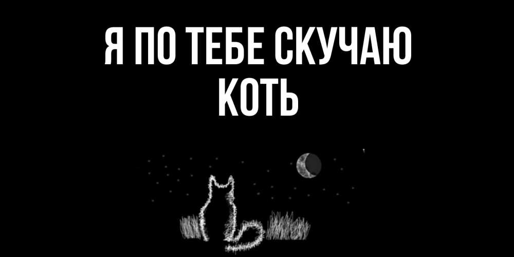 Открытка на каждый день с именем, коть Я по тебе скучаю кот Прикольная открытка с пожеланием онлайн скачать бесплатно 