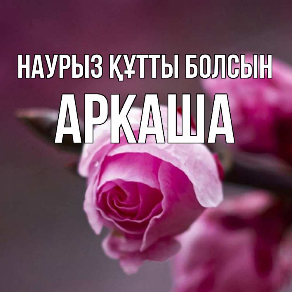 Открытка на каждый день с именем, Аркаша Наурыз құтты болсын весна Прикольная открытка с пожеланием онлайн скачать бесплатно 