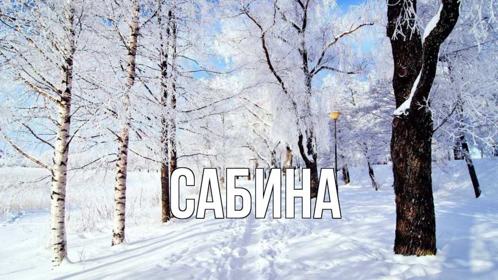 Открытка на каждый день с именем, Сабина Главная зимний лес Прикольная открытка с пожеланием онлайн скачать бесплатно 