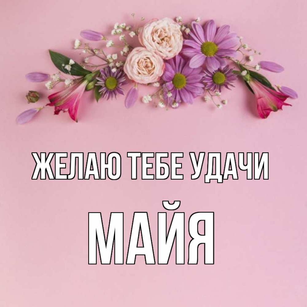 Получила имя майя