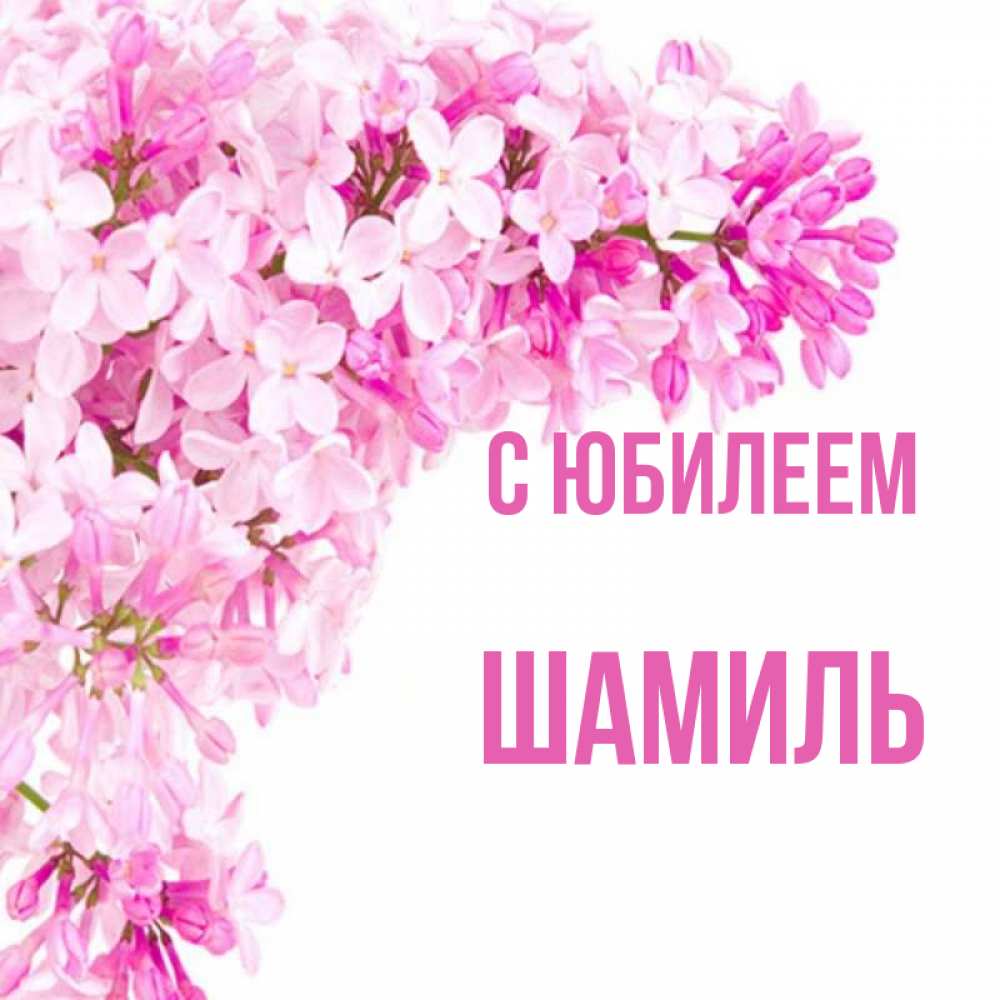 Открытка на каждый день с именем, Шамиль С юбилеем Сирень на белом фоне Прикольная открытка с пожеланием онлайн скачать бесплатно 