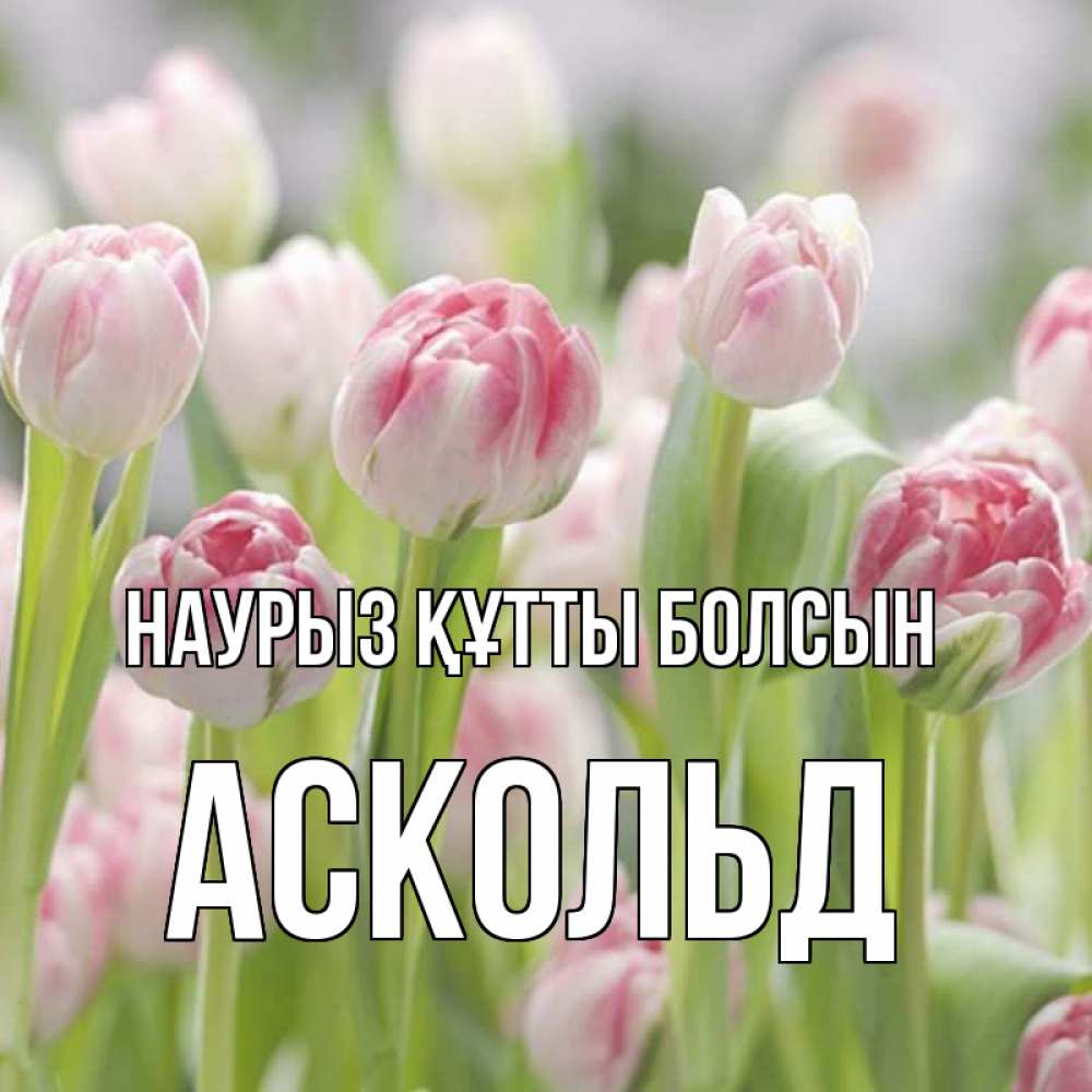 Открытка на каждый день с именем, Аскольд Наурыз құтты болсын цветы Прикольная открытка с пожеланием онлайн скачать бесплатно 