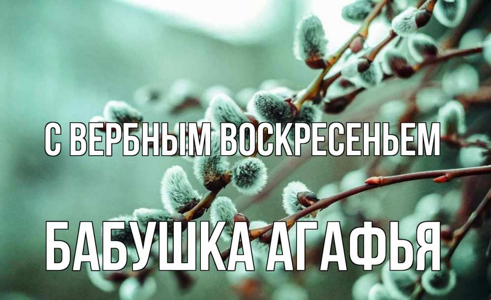 Открытка на каждый день с именем, Бабушка-Агафья С вербным воскресеньем верба Прикольная открытка с пожеланием онлайн скачать бесплатно 