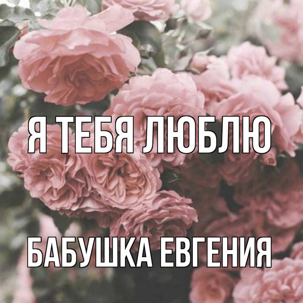 Открытка на каждый день с именем, Бабушка-Евгения Я тебя люблю розы 3 Прикольная открытка с пожеланием онлайн скачать бесплатно 