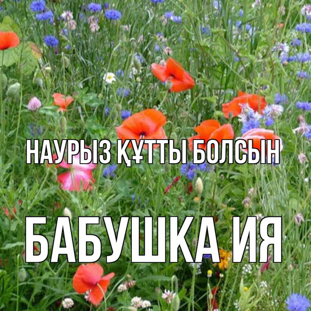 Открытка на каждый день с именем, Бабушка-Ия Наурыз құтты болсын наурыз  4 Прикольная открытка с пожеланием онлайн скачать бесплатно 
