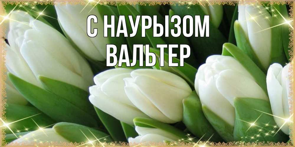 Открытка на каждый день с именем, Вальтер С наурызом поздравляем с праздник весны наурыз Прикольная открытка с пожеланием онлайн скачать бесплатно 