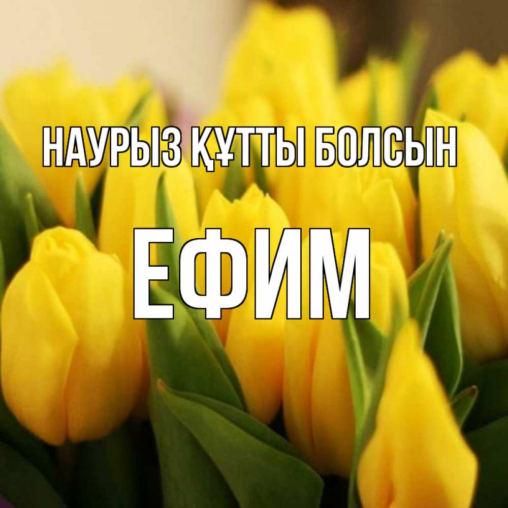 Открытка на каждый день с именем, Ефим Наурыз құтты болсын цветы Прикольная открытка с пожеланием онлайн скачать бесплатно 