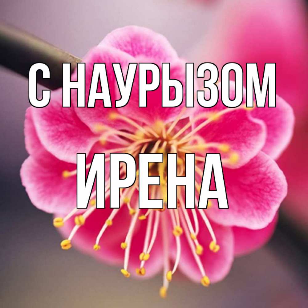 Открытка на каждый день с именем, Ирена С наурызом цветы Прикольная открытка с пожеланием онлайн скачать бесплатно 